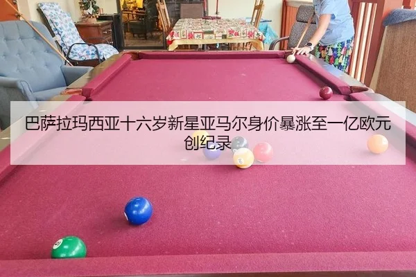 ba-sa-la-ma-xi-ya-shi-liu-sui-xin-xing-ya-ma-er-shen-jia-bao-zhang-zhi-yi-yi-ou-yuan-chuang-ji-lu-3-568.jpg
