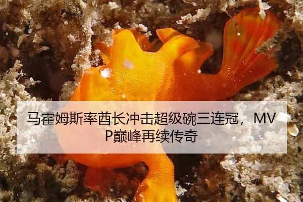 马霍姆斯率酋长冲击超级碗三连冠，MVP巅峰再续传奇