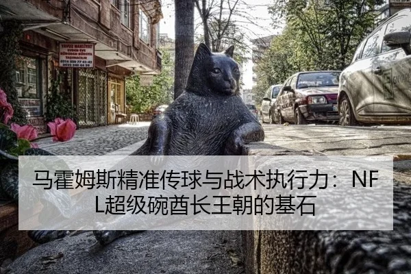 马霍姆斯精准传球与战术执行力：NFL超级碗酋长王朝的基石